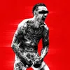 sintoboxer