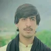 saif62072