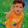 nomi.dogar990