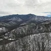 leeda_272