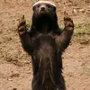 giperggg6