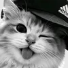 nasty_shka20