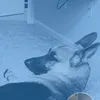 michael_777906