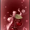 sxmastha1