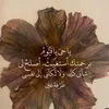 noura.3506