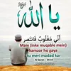 anees.fatima534