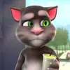 ldslyzoca