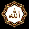 sahbaazali138