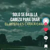 roni.corado