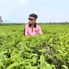 md.momin00126