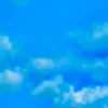brohi__6