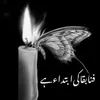 aliyankhan1299