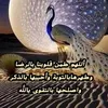 user2236568119595