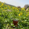 عوده رحيل الميس