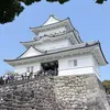 shimon.toyama