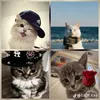 jonathan_elpa_pucho
