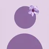 user339910347