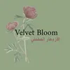 c.velvetbloom