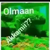user5157010363546