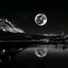 mohamed.arafa.sha