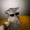 zxzz.faa