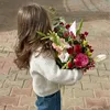 aylar.motamedi