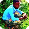 user1494747549330