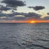 bryannanana3