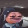 ysljxnv