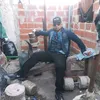 davidmate38