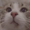 klvmoon.ly