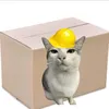cat.larryshadow