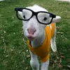 yeuanhnhiuu_1106