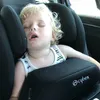 lilje304