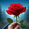 user4052093330903