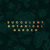 succulentbotanica