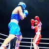 volkovbox