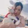 ntdh17