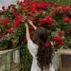 fatima4z1