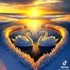 user882338780068