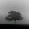 dixxfiixsii