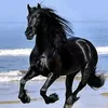 luis.fraguas.alva