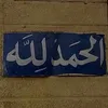 salm1354al1