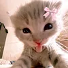 shannaandrade3