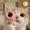 yalen_141