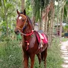 user1242681873363