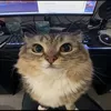xd_82s