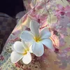 ma.__192