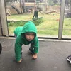 semi_sebastianbraga