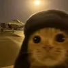 pocchokatt